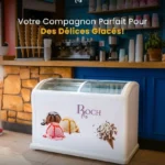 Congélateur Vitrine Roch 500L RIS500D – Spécial Glaces, Portes Coulissantes Verre