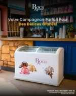 Congélateur Vitrine Roch 500L RIS500D – Spécial Glaces, Portes Coulissantes Verre
