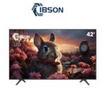 TELEVISEUR IBSON 42"' LED IB42FT1002