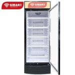 REFRIGERATEUR SMART TECHNOLOGY VITRINE 1PORTE STCDV1080